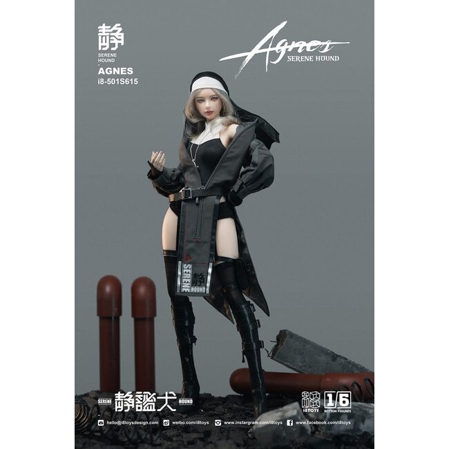 Original Charakter Actionfigur 1/6 Serene Hound "Agnes" 30 cm