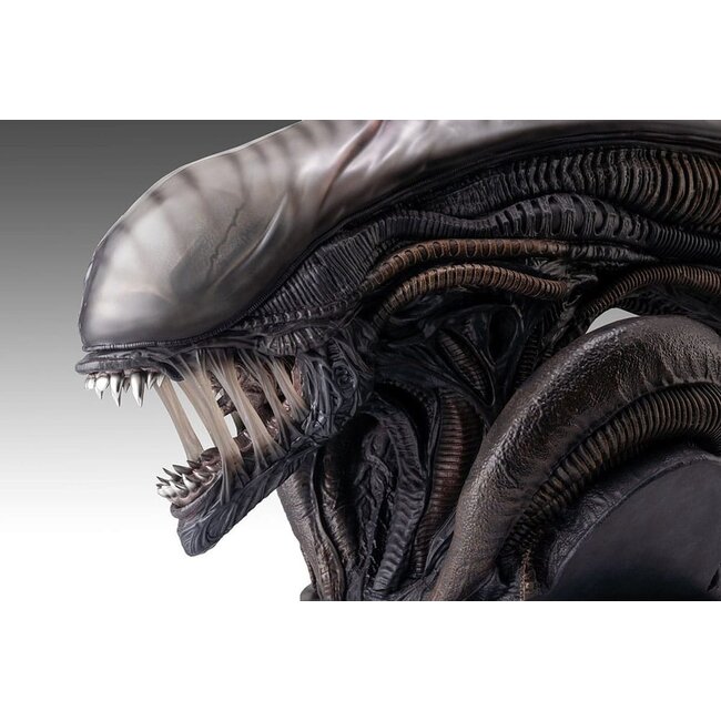 Alien Romulus Büste 1/1 Xenomorph 53 cm