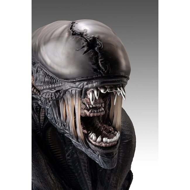 Alien Romulus Bust 1/1 Xenomorph 53 cm