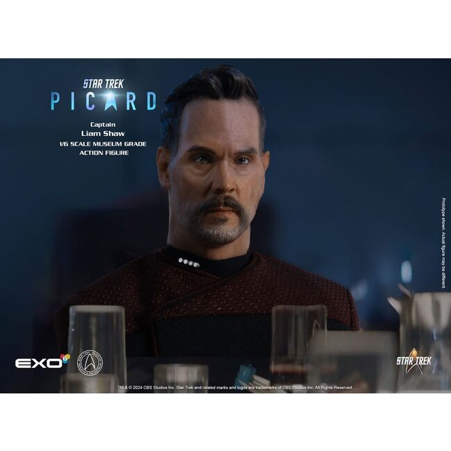 Star Trek: Picard Action Figure 1/6 Captain Liam Shaw 30 cm