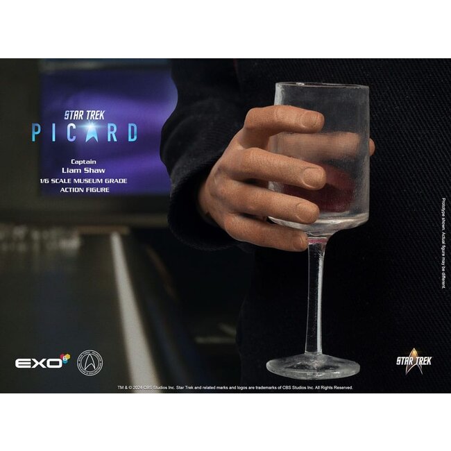 Star Trek: Picard Actionfigur 1/6 Captain Liam Shaw 30 cm