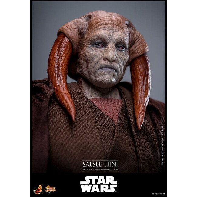 Star Wars: Episode III - Revenge of the Sith Movie Masterpiece Action Figure 1/6 Saesee Tiin 31 cm