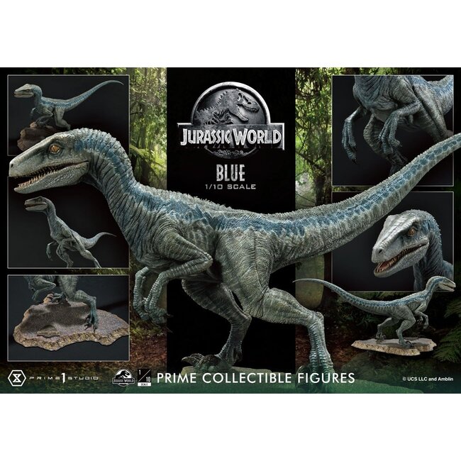 Jurassic World: Fallen Kingdom Prime Collectibles Statue 1/10 Blue (Open Mouth Version) 17 cm