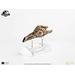 Elite Creature Collectibles Jurassic Park III Prop Replica 1/1 Velociraptor Resonance Chamber 18 cm