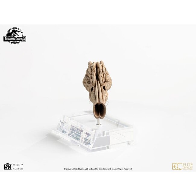 Jurassic Park III Prop Replica 1/1 Velociraptor Resonance Chamber 18 cm