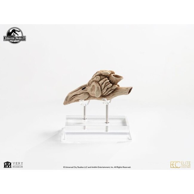 Jurassic Park III Prop Replik 1/1 Velociraptor Resonanzkammer 18 cm