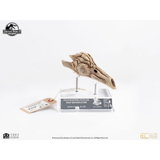 Jurassic Park III Prop Replik 1/1 Velociraptor Resonanzkammer 18 cm