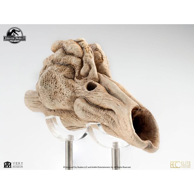 Jurassic Park III Prop Replik 1/1 Velociraptor Resonanzkammer 18 cm