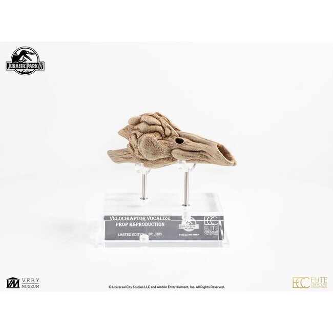 Jurassic Park III Prop Replik 1/1 Velociraptor Resonanzkammer 18 cm