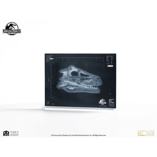 Jurassic Park III Prop Replica 1/1 Velociraptor Resonance Chamber 18 cm