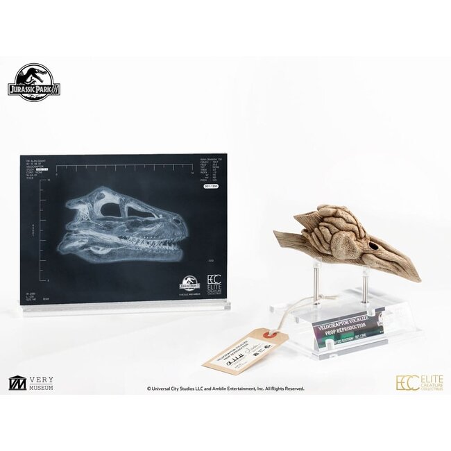 Jurassic Park III Prop Replica 1/1 Velociraptor Resonance Chamber 18 cm