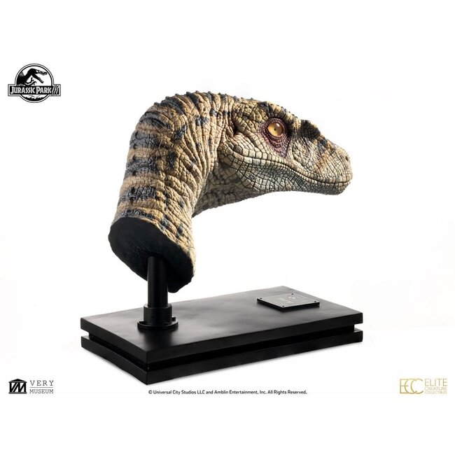 Jurassic Park III Büste Weiblicher Velociraptor White Queen 75 cm