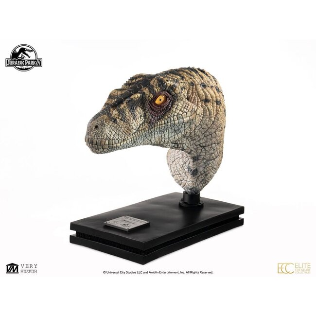 Jurassic Park III Büste Weiblicher Velociraptor White Queen 75 cm