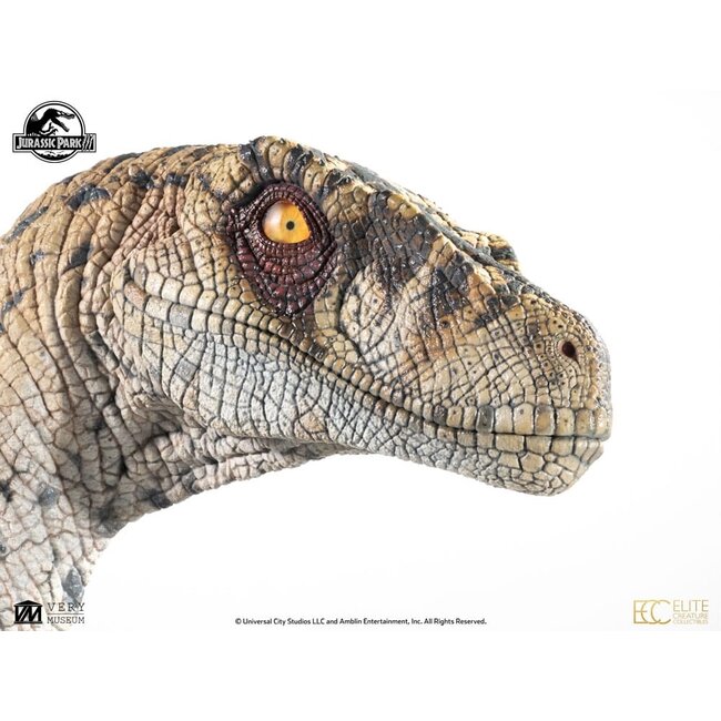Jurassic Park III Büste Weiblicher Velociraptor White Queen 75 cm