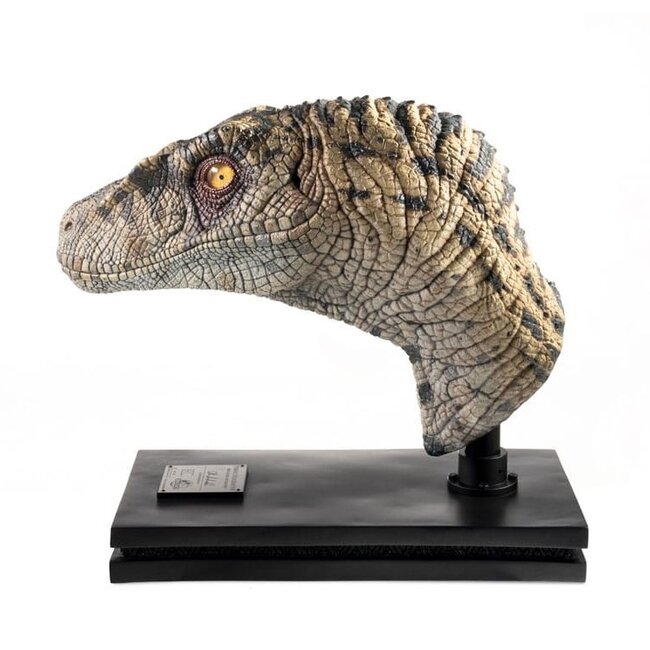 Elite Creature Collectibles Jurassic Park III Bust Female Velociraptor White Queen 75 cm