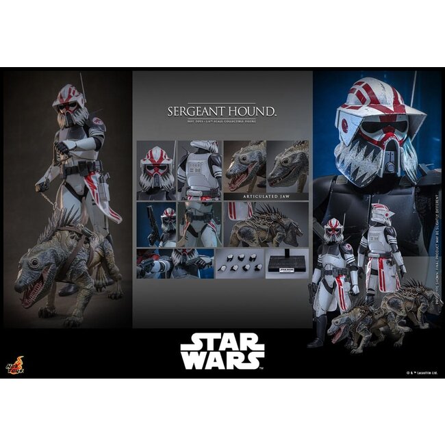 Star Wars: The Clone Wars Action Figure 1/6 Sergeant Hound 30 cm
