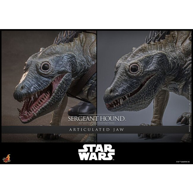 Star Wars: The Clone Wars Actionfigur 1/6 Sergeant Hound 30 cm