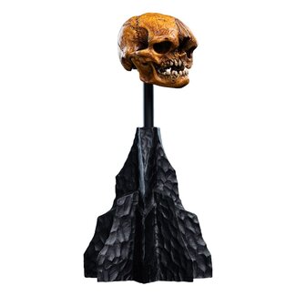 Weta Workshop Lord of the Rings Mini Statue Skull of a Misty Mountain Goblin 14 cm