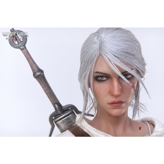 The Witcher 3: Wild Hunt Action Figure 1/6 Ciri of Cintra 30 cm