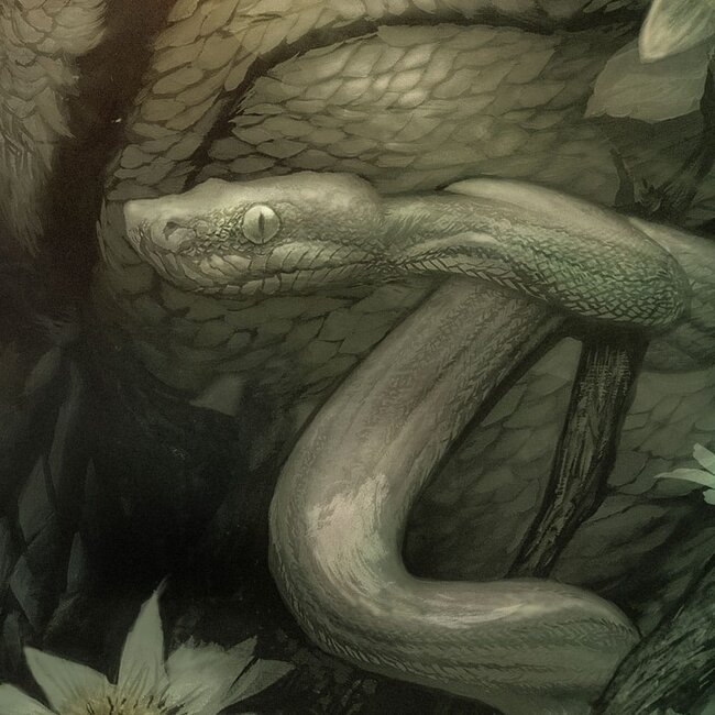 Kunstdruck „Der Schrecken vom Amazonas“ von Dan Quintana, 61 x 41 cm – ungerahmt