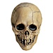 Trick or Treat Studios Don Post Vinyl Mask Aged Voodoo Skull