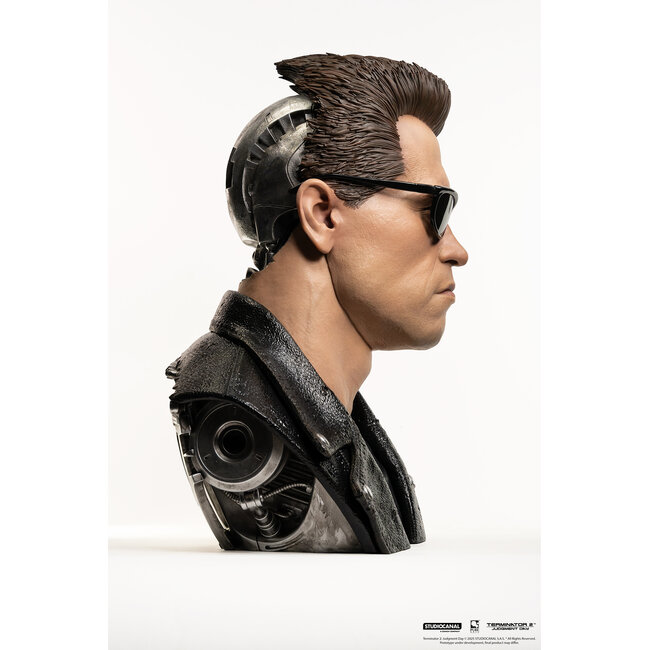 Terminator 2 Replica 1/1 Art Mask Bust T-800 Model 101