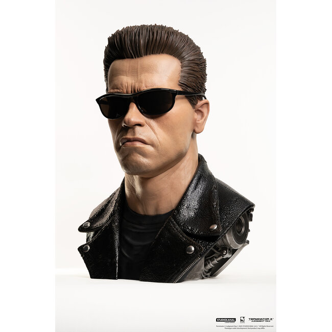 Terminator 2 Replica 1/1 Art Mask Bust T-800 Model 101
