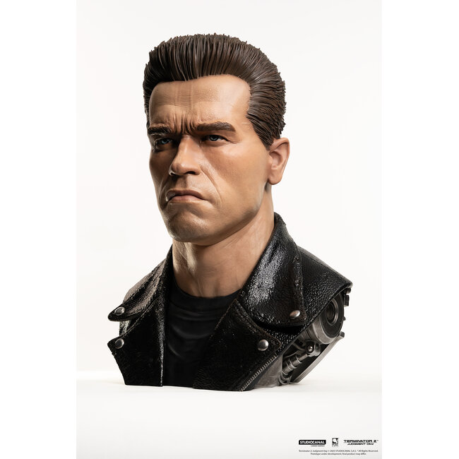 Terminator 2 Replica 1/1 Art Mask Bust T-800 Model 101