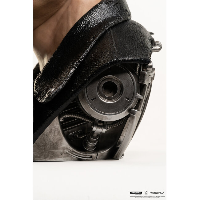 Terminator 2 Replica 1/1 Art Mask Bust T-800 Model 101