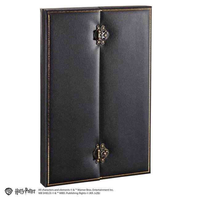 Harry Potter Replika 1/1 Halskette aus verfluchtem Opal, 56 cm