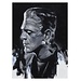 Sideshow Collectibles Kunstdruck „Frankensteins Braut“ von Chris Valentine, 41 x 31 cm – ungerahmt Sideshow Collectibles Kunstdruck „Frankensteins Braut“ von Chris Valentine, 41 x 31 cm – ungerahmt