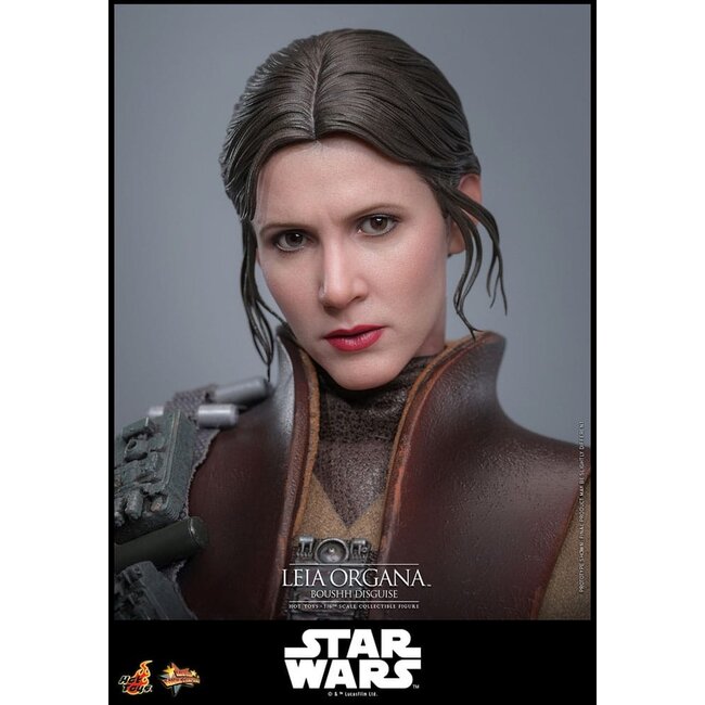 Star Wars Episode VI Movie Masterpiece Action Figure 1/6 Leia Organa (Boushh Disguise) 27 cm