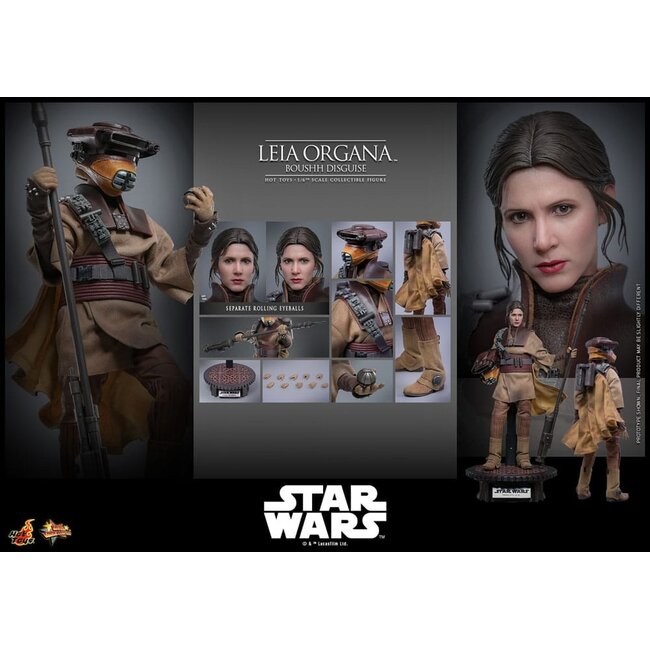 Star Wars Episode VI Movie Masterpiece Action Figure 1/6 Leia Organa (Boushh Disguise) 27 cm
