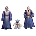 Hasbro Star Wars Episode VI Black Series Actionfiguren 3er-Pack Force Spirits 15 cm