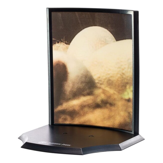 Jurassic Park Spielzeug-Schatzstatue Raptor-Ei Das Leben findet einen Weg 12 cm