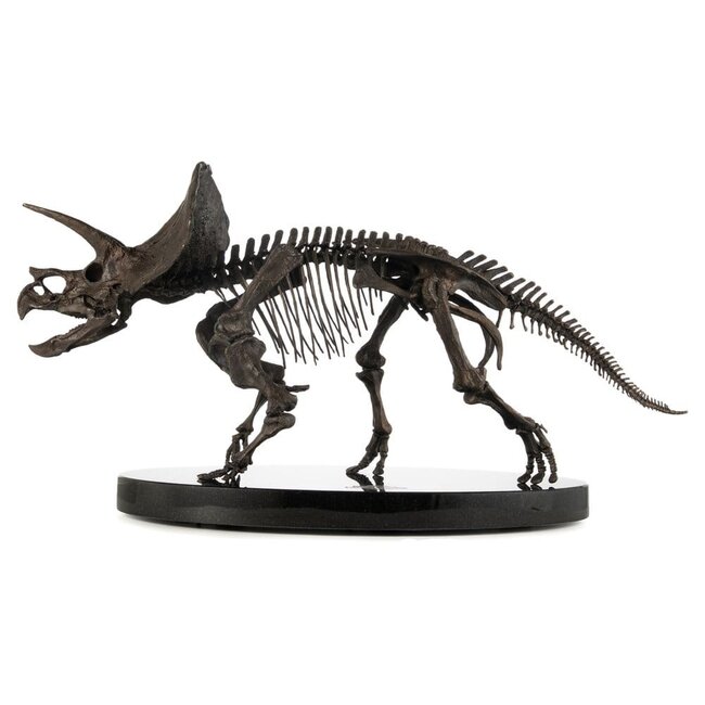 Elite Creature Collectibles Jurassic World ECC Elite Creature Line Statue 1/12 Triceratops Fossil Skeleton Bronze 33 cm