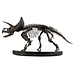Elite Creature Collectibles Jurassic World ECC Elite Creature Line Statue 1/12 Triceratops Fossil Skeleton Bronze 33 cm