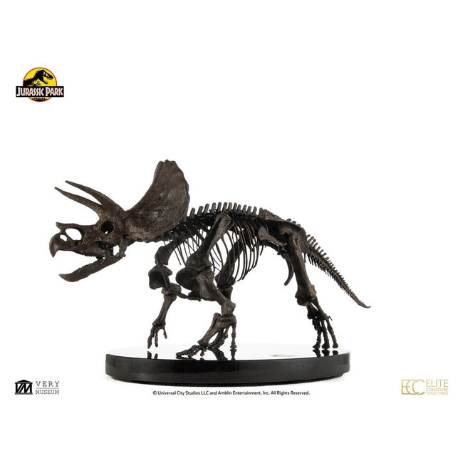Jurassic World ECC Elite Creature Line Statue 1/12 Triceratops Fossil Skeleton Bronze 33 cm