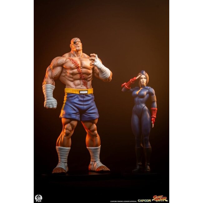 Street Fighter Street Jam Statuen 1/10 Sagat & Juli 24 cm