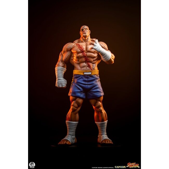 Street Fighter Street Jam Statues 1/10 Sagat & Juli 24 cm