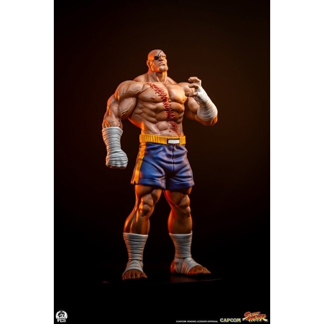 Street Fighter Street Jam Statuen 1/10 Sagat & Juli 24 cm