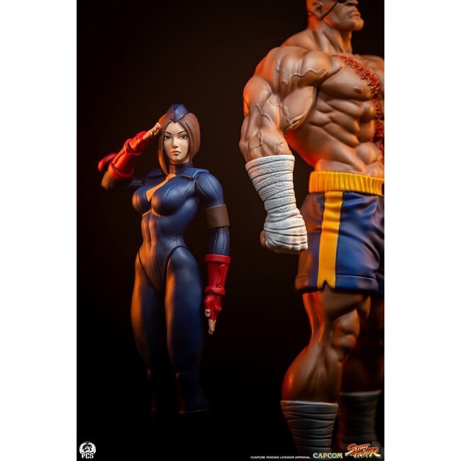 Street Fighter Street Jam Statuen 1/10 Sagat & Juli 24 cm