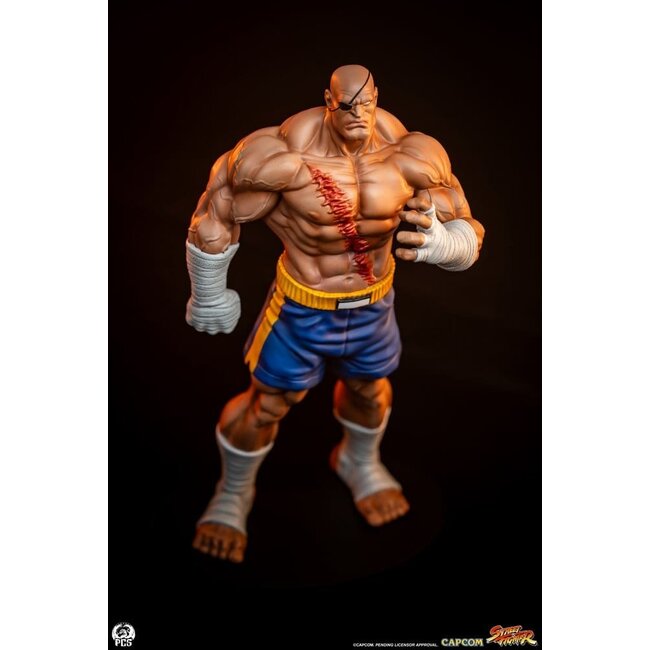 Street Fighter Street Jam Statues 1/10 Sagat & Juli 24 cm