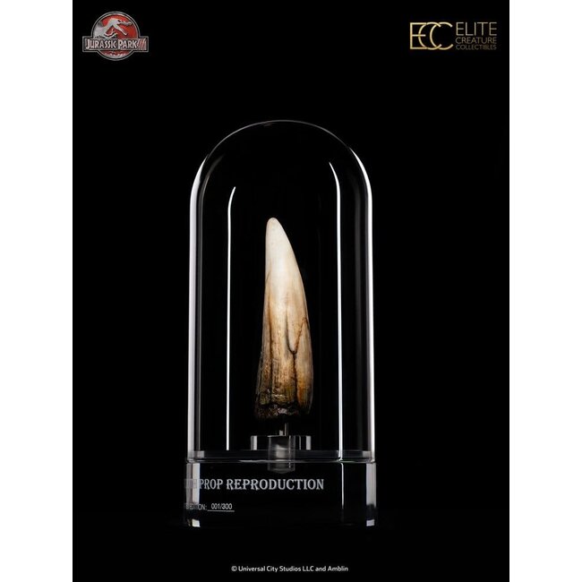 Jurassic Park III Requisite 1/1 Spinosaurus-Zahn 14 cm