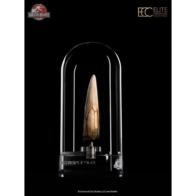 Jurassic Park III Prop Replica 1/1 Spinosaurus Tooth 14 cm