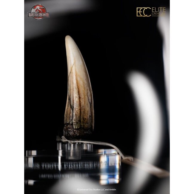 Jurassic Park III Requisite 1/1 Spinosaurus-Zahn 14 cm