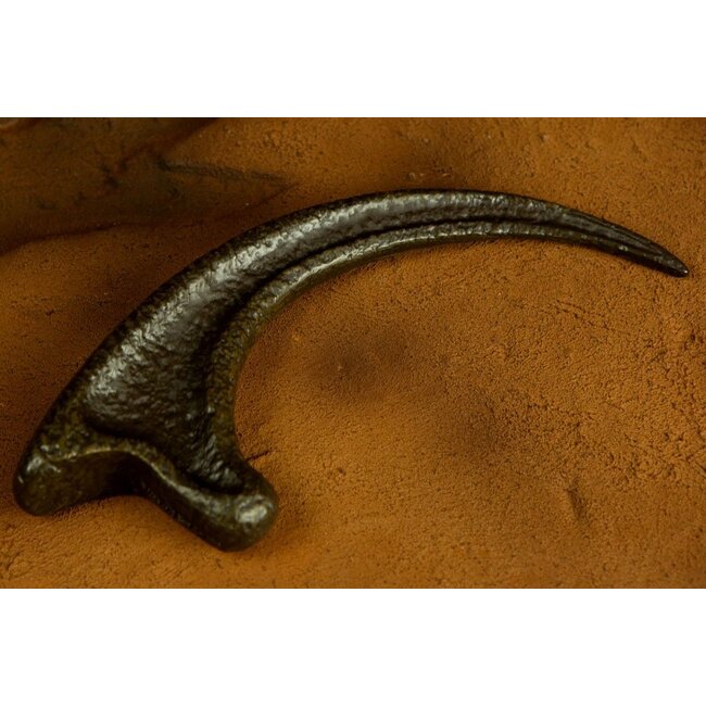 Jurassic Park Replica 1/1 Raptor Claw
