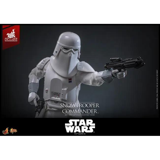 Star Wars V Actionfigur 1/6 Snowtrooper Commander Hot Toys Exklusiv 30 cm