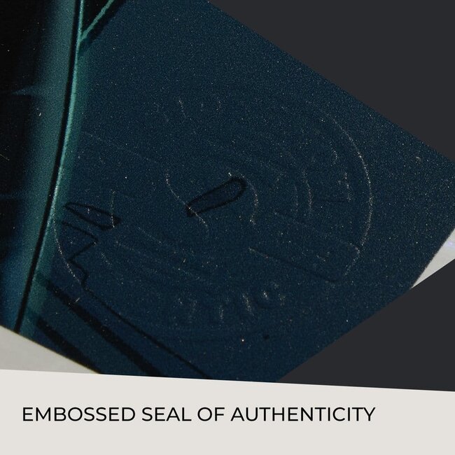 DC Comics Kunstdruck Catwoman: Nine Lives 61 x 41 cm - ungerahmt