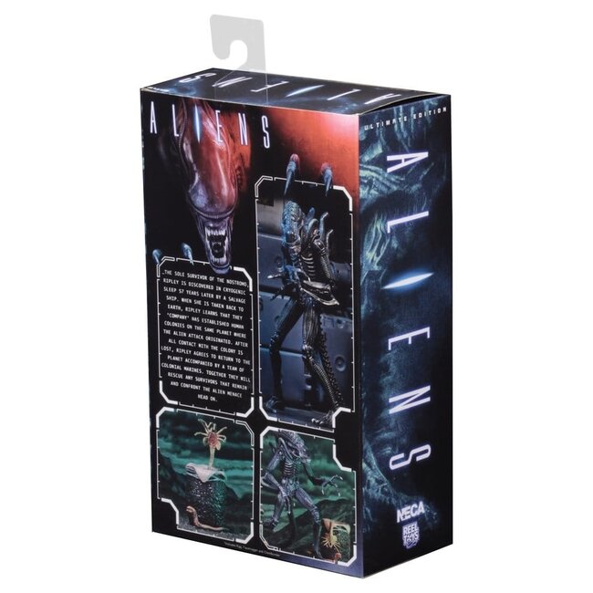 Aliens Ultimate Actionfigur Krieger (1986) Blau 23 cm